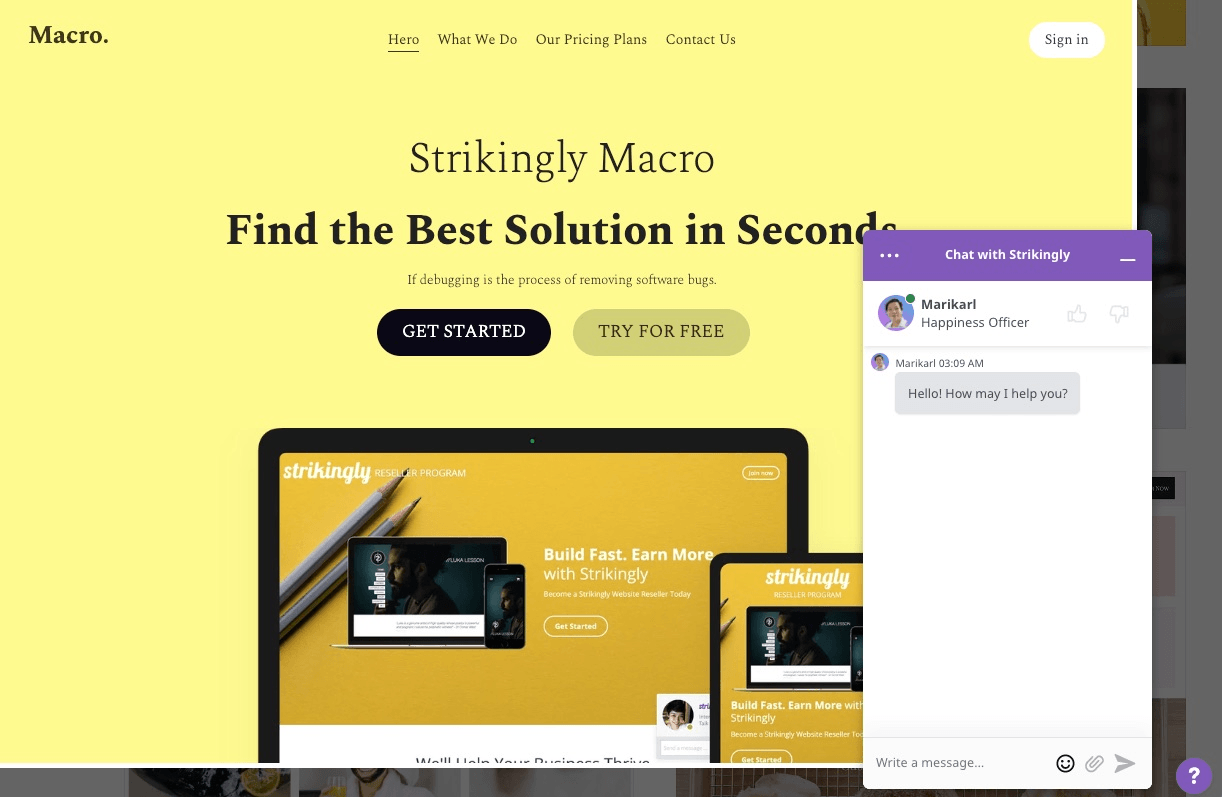 null Strikingly Macro Template